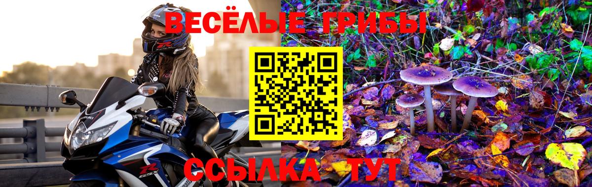 Сарапул  Галлюциногенные грибы MAGIC MUSHROOMS  Вход с VPN  Галлюциногенные грибы прущие грибы 